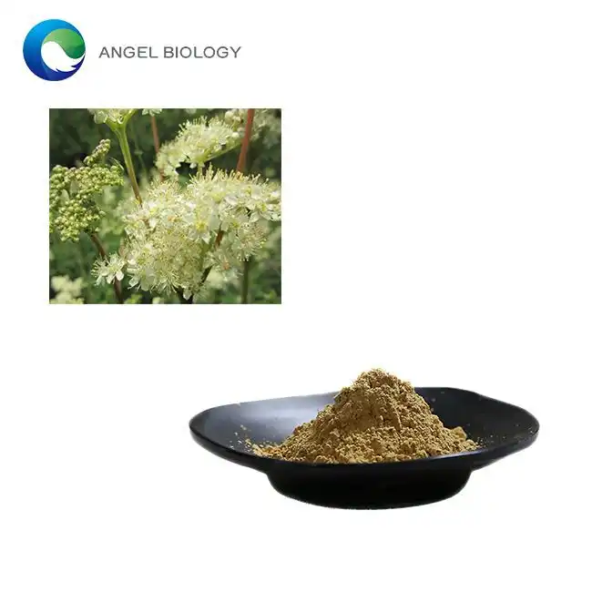 Meadowsweet Extract Powder